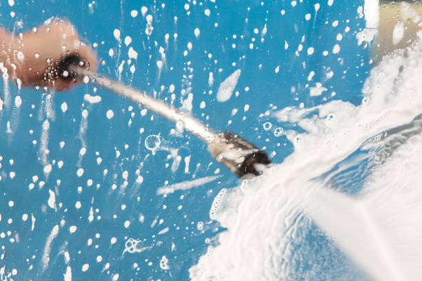 Best Animal Enclosure Cleaning  in Ely, MN