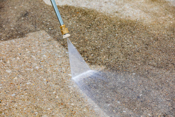 Best Warehouse Cleaning  in Ely, MN