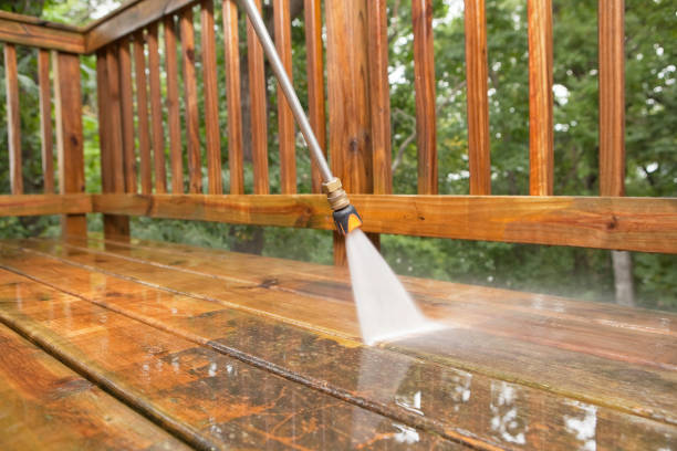 Boat and Dock Cleaning in Ely, MN