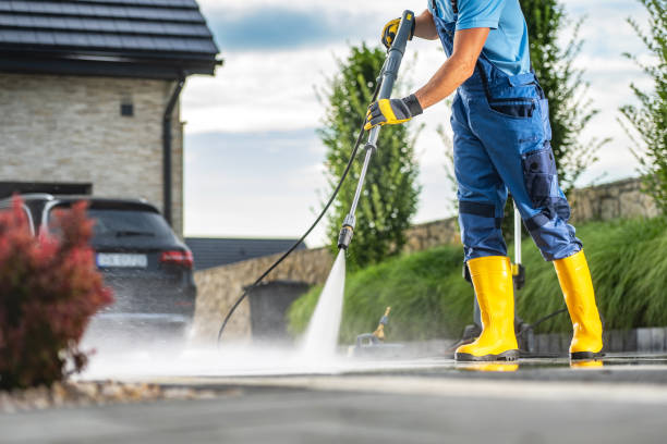 Best Building Exterior Washing  in Ely, MN
